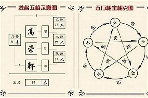 生肖 男命名|生肖姓名学起名经典版案例